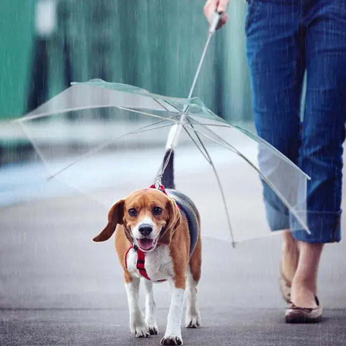 ( Lesy )™ -Sombrilla Paraguas Para Perro : Protección Total Para Días Lluviosos